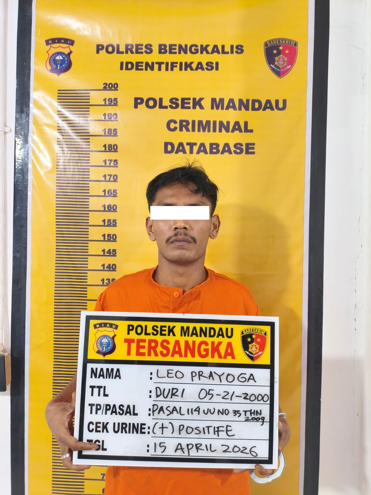DPO Kasus Narkotika Ditangkap di Bathin Solapan, Perburuan Berakhir Tanpa Perlawanan