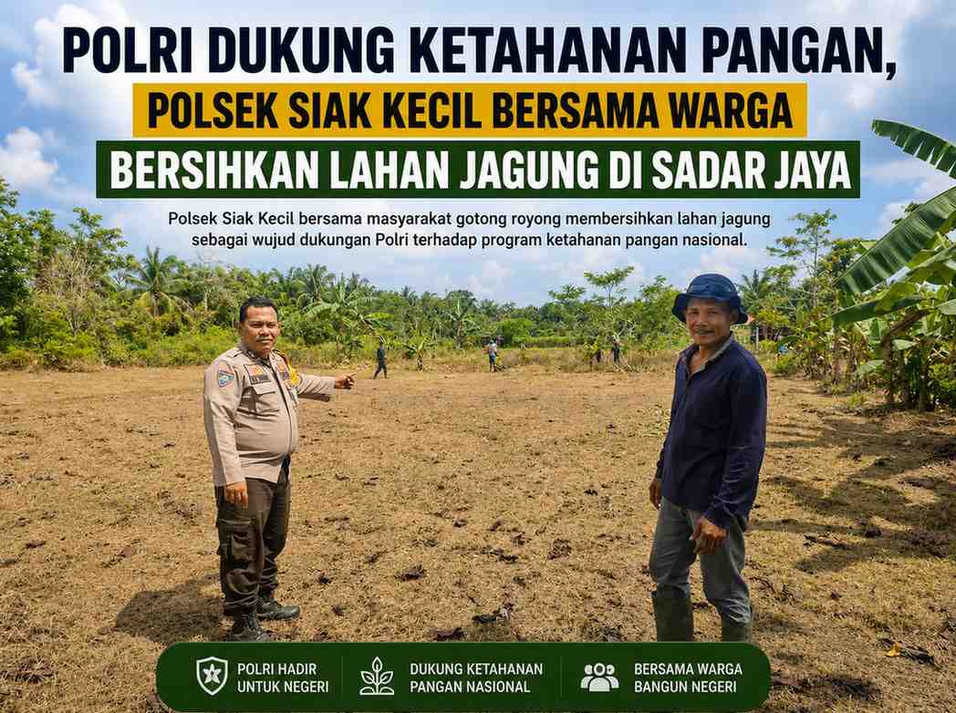 Polri Dukung Ketahanan Pangan, Polsek Siak Kecil Bersama Warga Bersihkan Lahan Jagung di Sadar Jaya